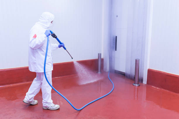 Best Sidewalk and Walkway Cleaning  in Mission, SD