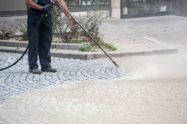Best Pre-Holiday Cleaning  in Mission, SD